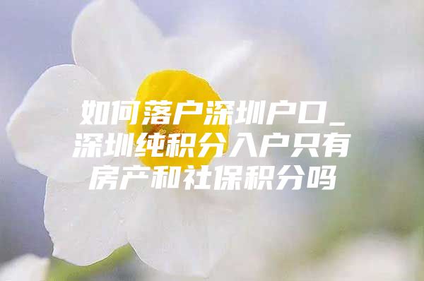 如何落户深圳户口_深圳纯积分入户只有房产和社保积分吗