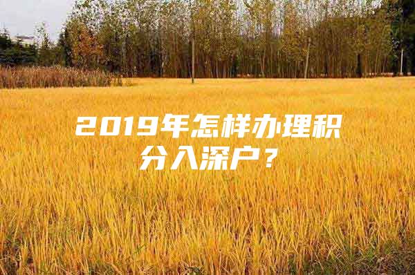 2019年怎样办理积分入深户？