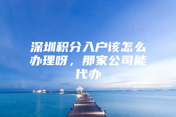 深圳积分入户该怎么办理呀，那家公司能代办