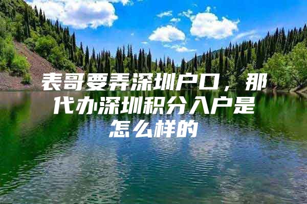 表哥要弄深圳户口，那代办深圳积分入户是怎么样的