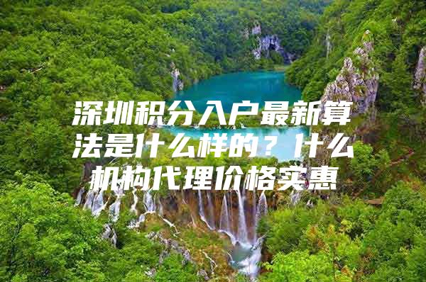 深圳积分入户最新算法是什么样的？什么机构代理价格实惠