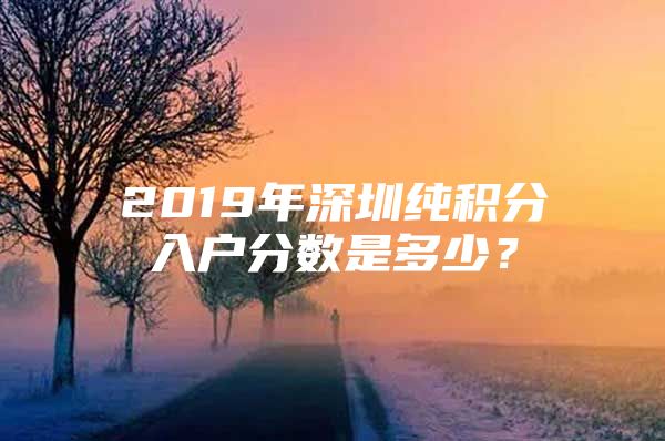 2019年深圳纯积分入户分数是多少？