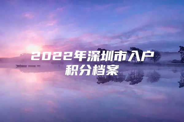 2022年深圳市入户积分档案