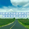 汉阳海关创新监管模式助留学生购国产免税车