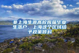 非上海生源高校应届毕业生落户，上海这个区域给予政策倾斜