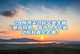 28所顶尖名校毕业生就业流向表，高等人才毕业之后究竟会去哪？