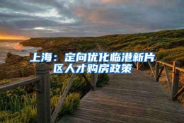 上海：定向优化临港新片区人才购房政策