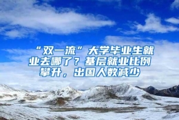 “双一流”大学毕业生就业去哪了？基层就业比例攀升，出国人数减少