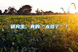 研究生，真的“太多了”？