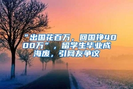 “出国花百万，回国挣4000万”，留学生毕业成海废，引网友争议