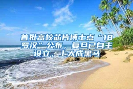 首批高校芯片博士点“18罗汉”公布，复旦已自主设立，上大成黑马