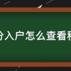 积分入户怎么查看积分