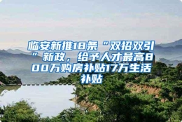 临安新推18条“双招双引”新政，给予人才最高800万购房补贴17万生活补贴