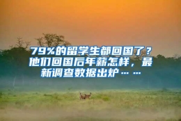 79%的留学生都回国了？他们回国后年薪怎样，最新调查数据出炉……