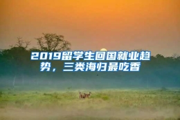 2019留学生回国就业趋势，三类海归最吃香