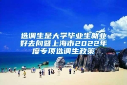 选调生是大学毕业生就业好去向暨上海市2022年度专项选调生政策